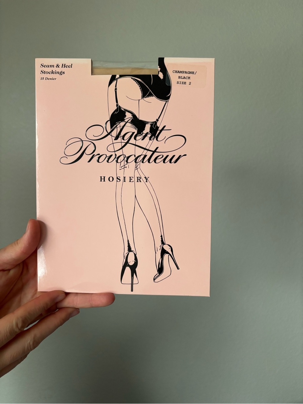 Agent Provocateur Champagne & Black Seam & Heel Stockings